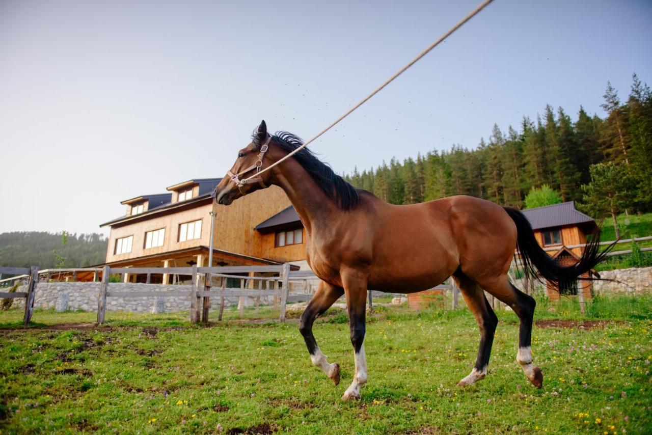 Etno Selo Zminica Hotel Žabljak Екстериор снимка